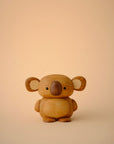Koala, Kozi
